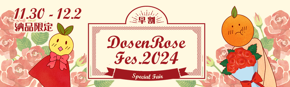 DOZEN ROSE FES 2024 ڥե